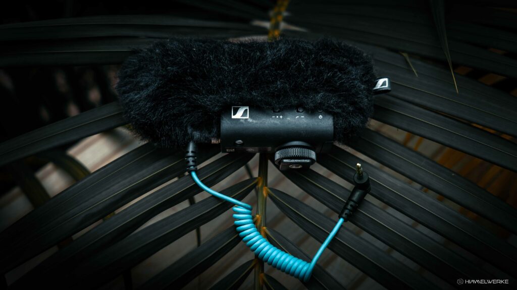 Das Bild zeigt das Sennheiser MKE 400 MK2 Richtmikrofon in einer Nahaufnahme im Seitenprofil. Das Mikrofon liegt auf einem dunkelgrünen Palmblatt. Das Logo von Sennheiser sowie das blau leuchtende Verbindungskabel stechen heraus.